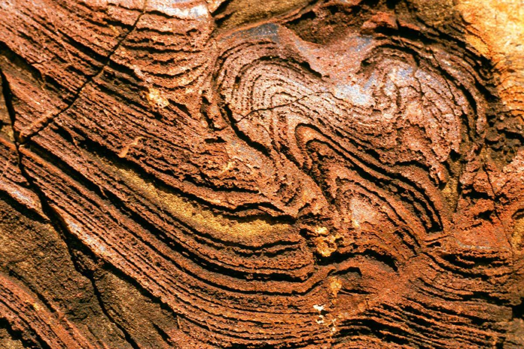 India’s 3.4-Billion-Year-Old Rock May Hold Clues to Earth’s Earliest Life